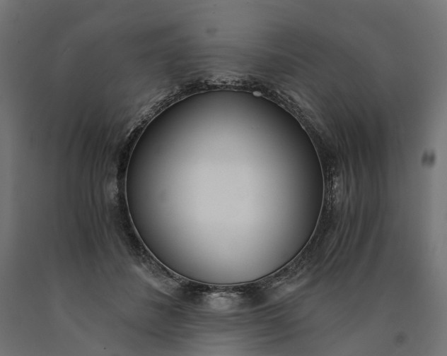 X0000090740508200708031548