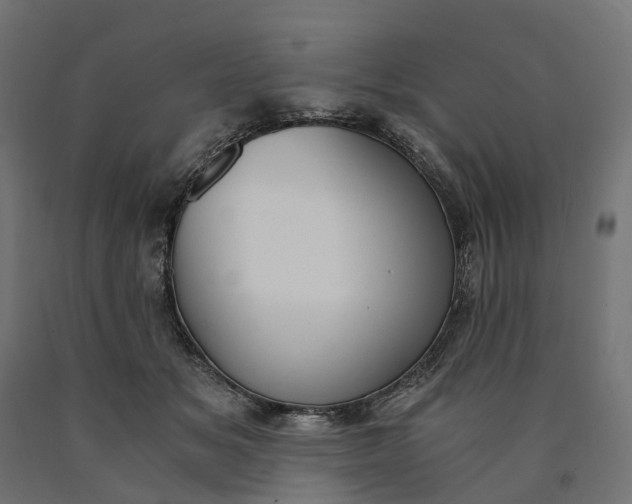 X0000090740509200708031548