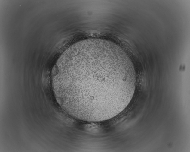 X0000090740511200708031548