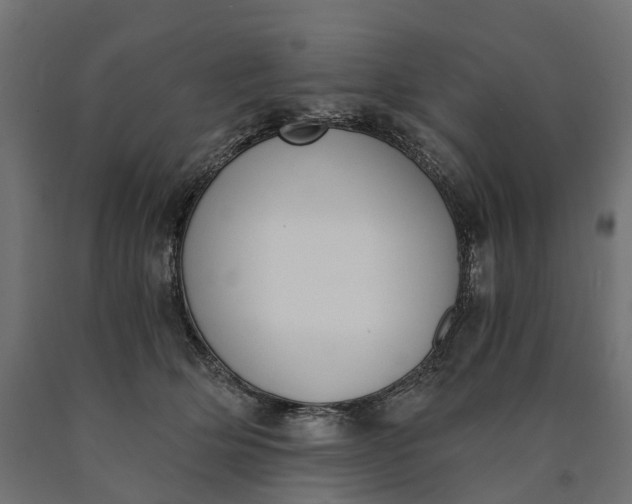 X0000090740514200708031548