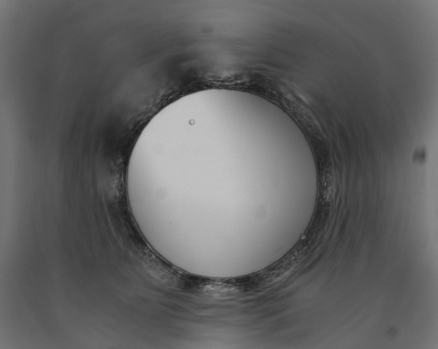 X0000090740515200708031548