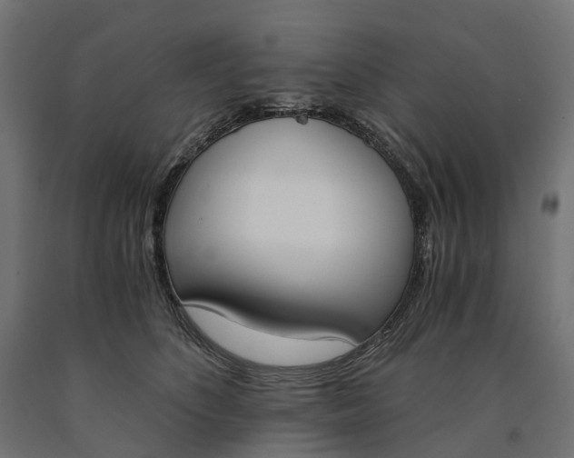 X0000090740516200708031548