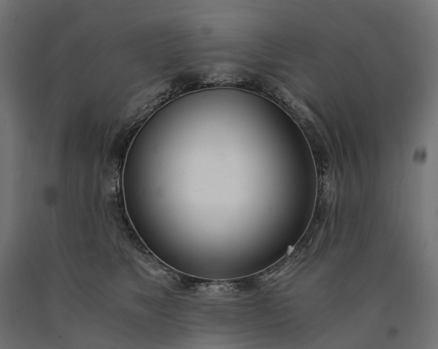 X0000090740517200708031548