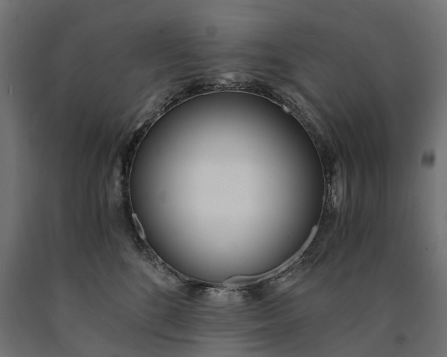 X0000090740520200708031548