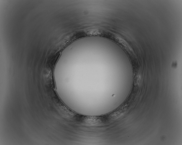 X0000090740521200708031548