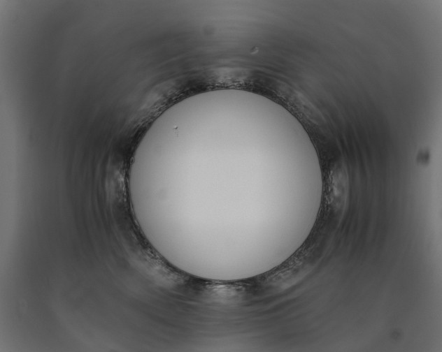 X0000090740522200708031548