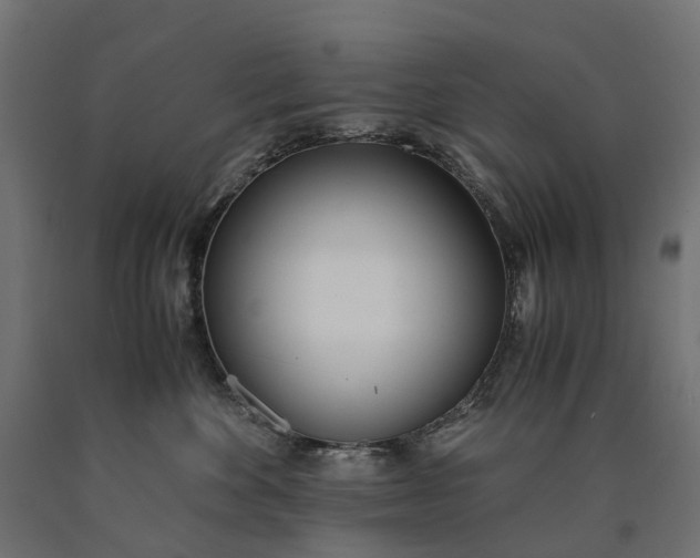 X0000090740524200708031548