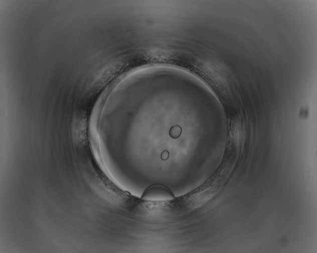 X0000090740526200708031548