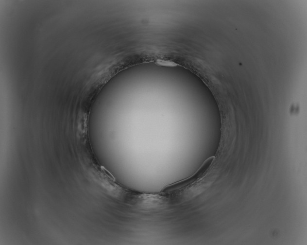 X0000090740528200708031548