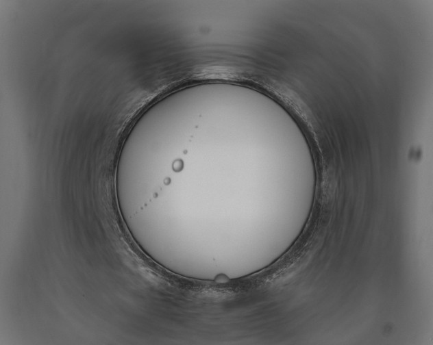 X0000090740529200708031547