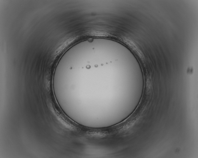 X0000090740533200708031548