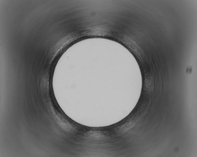 X0000090740534200708031548