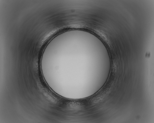 X0000090740535200708031548