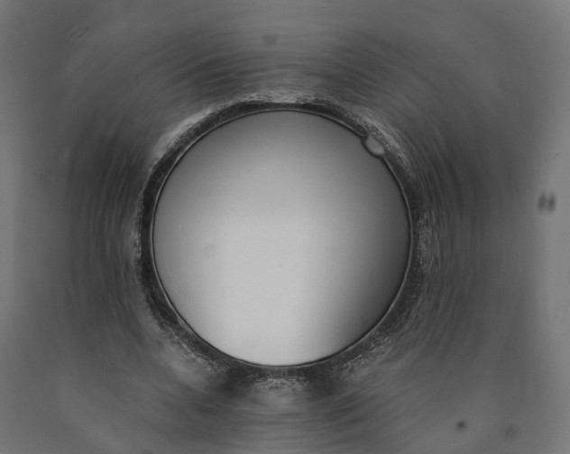 X0000090740536200708031548