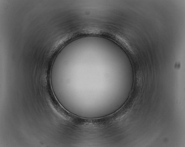 X0000090740538200708031548