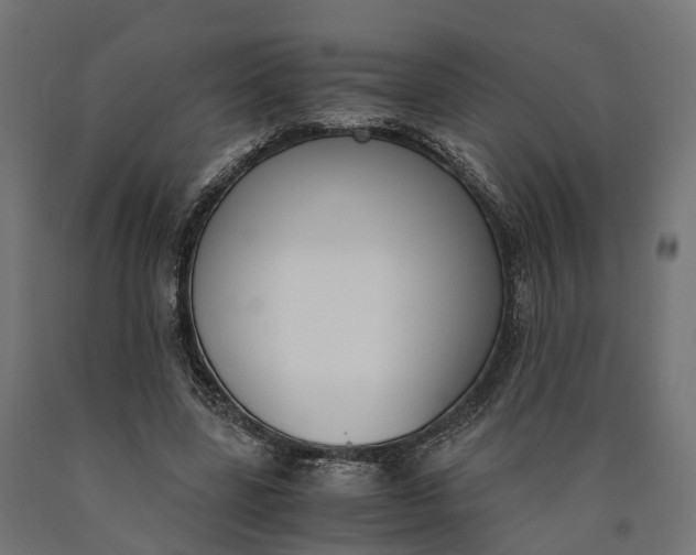 X0000090740539200708031548