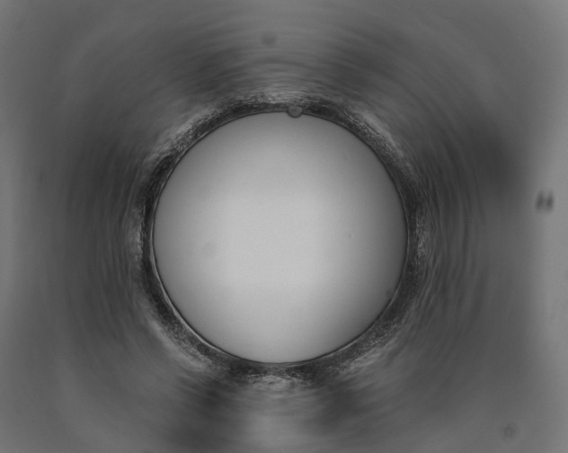 X0000090740542200708031548