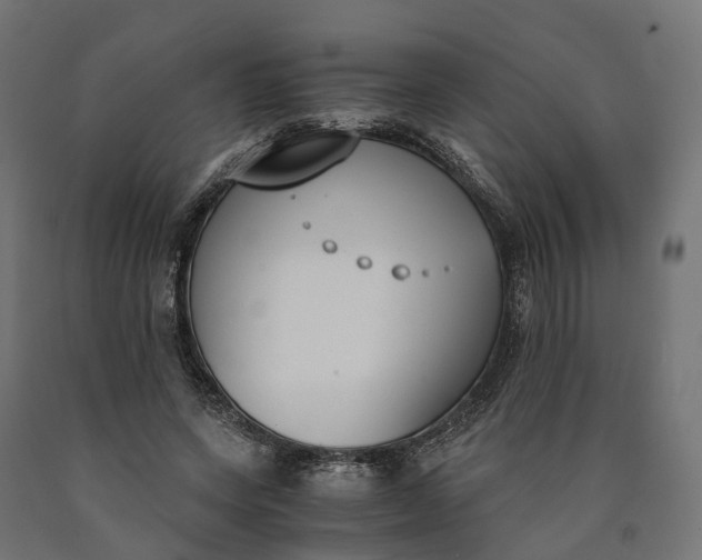 X0000090740543200708031548