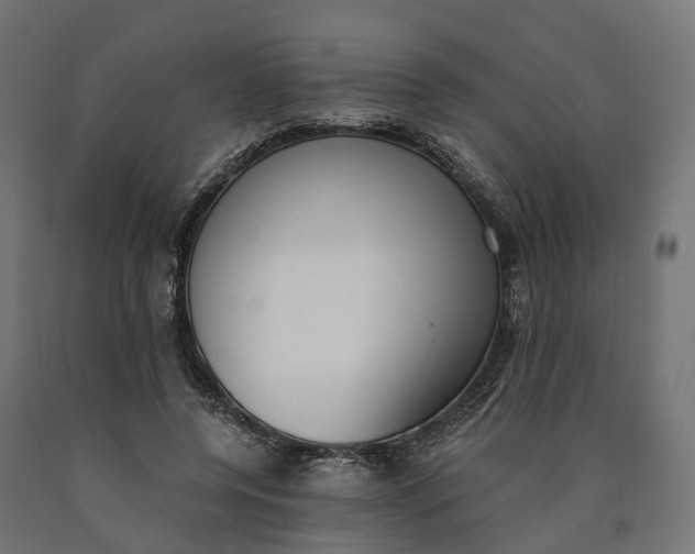 X0000090740544200708031548