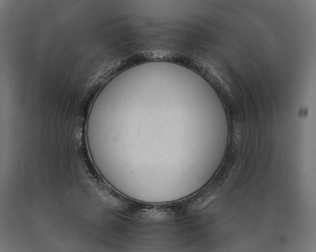 X0000090740545200708031548