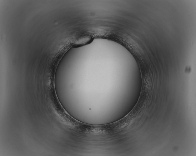 X0000090740546200708031548