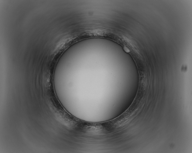 X0000090740548200708031548