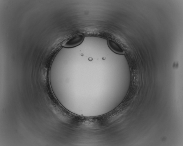 X0000090740550200708031548