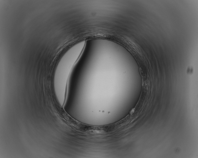 X0000090740552200708031548