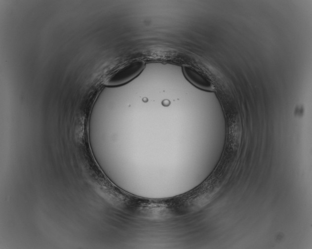 X0000090740554200708031548