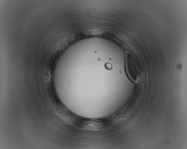 X0000090740555200708031548