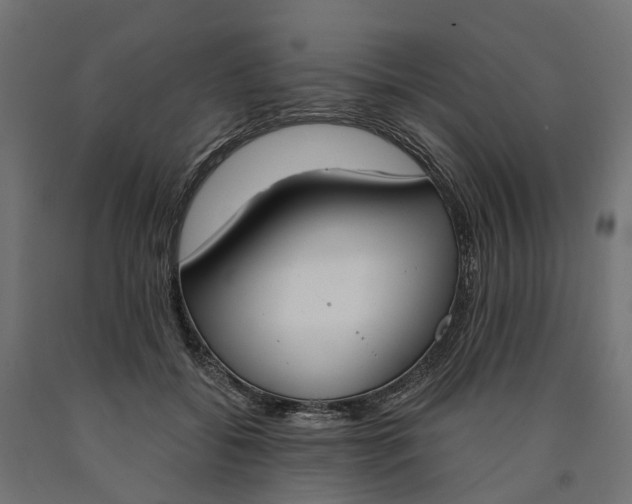 X0000090740556200708031548