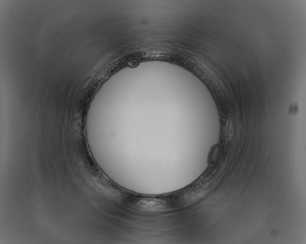 X0000090740557200708031548