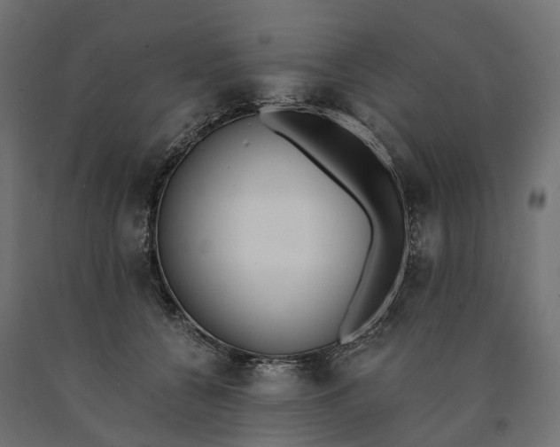 X0000090740560200708031548