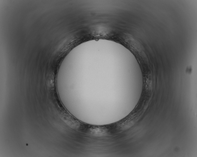 X0000090740561200708031548