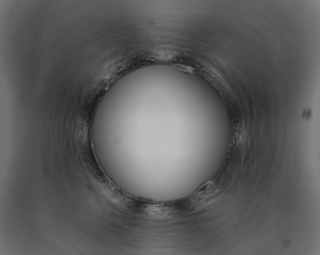 X0000090740568200708031548