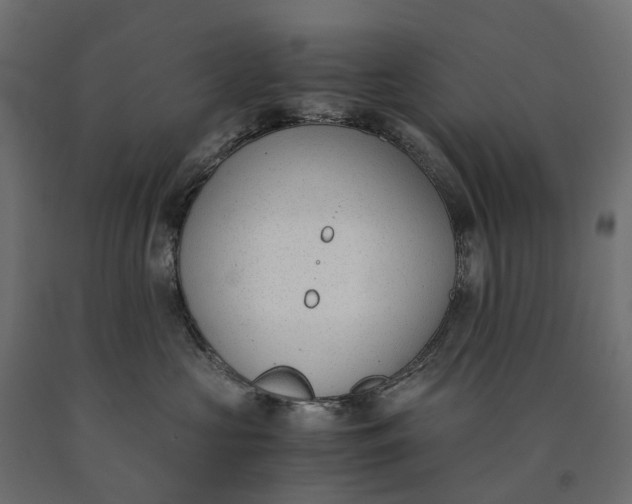 X0000090740573200708031548