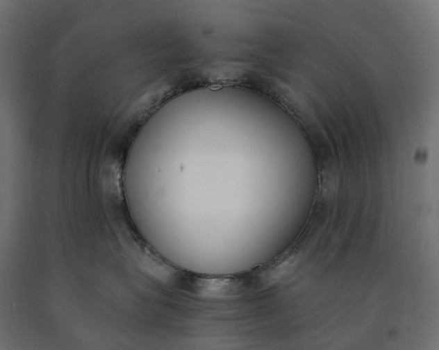 X0000090740575200708031548