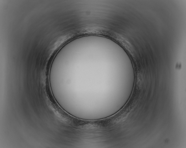 X0000090740578200708031547