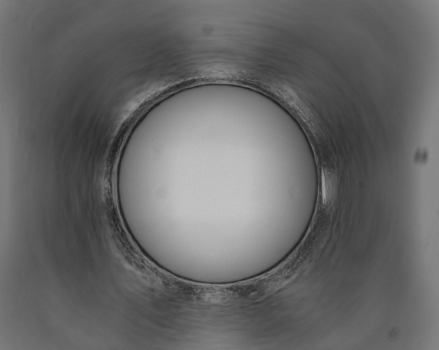 X0000090740579200708031547