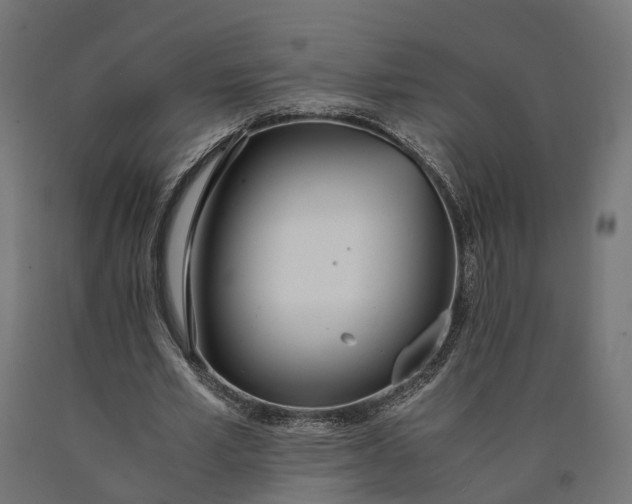 X0000090740581200708031547