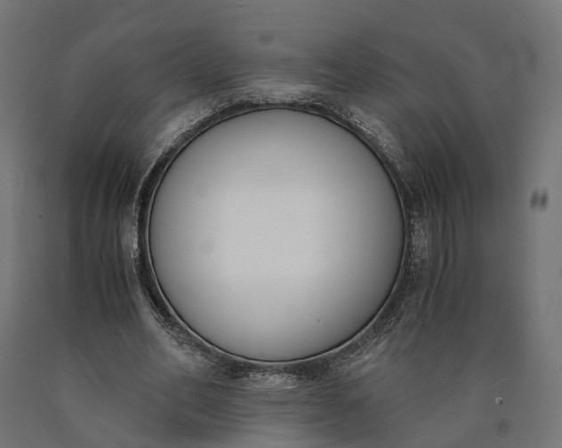 X0000090740582200708031547