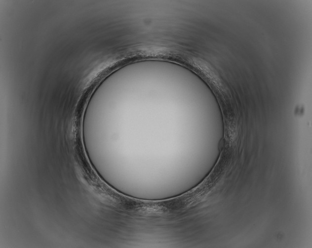 X0000090740583200708031547