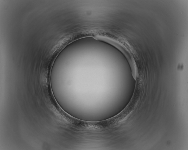 X0000090740585200708031547