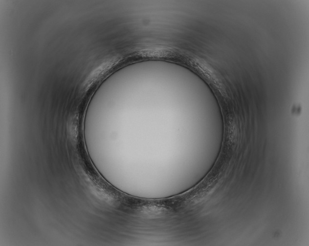 X0000090740586200708031547