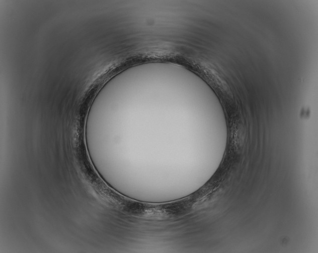 X0000090740591200708031547