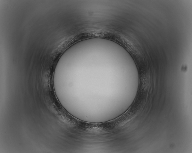 X0000090740594200708031547