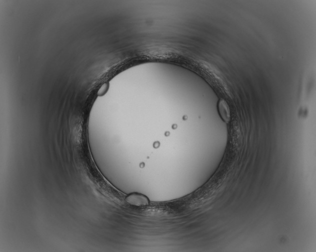 X0000090740596200708031547