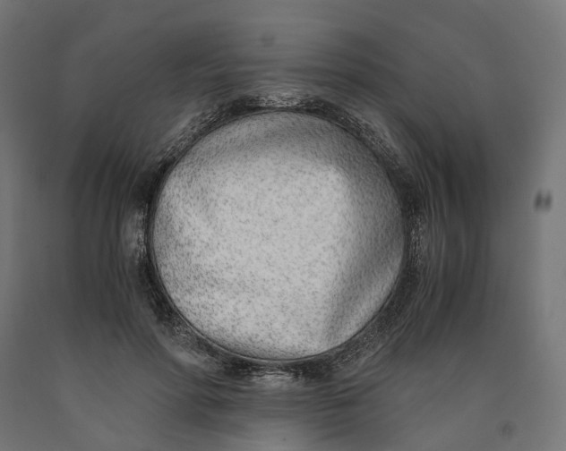 X0000090740598200708031547