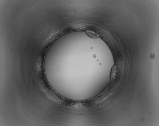 X0000090740600200708031547