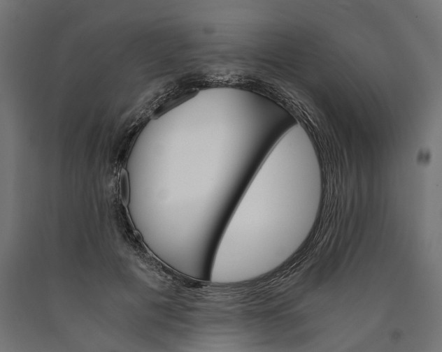 X0000090740601200708031547